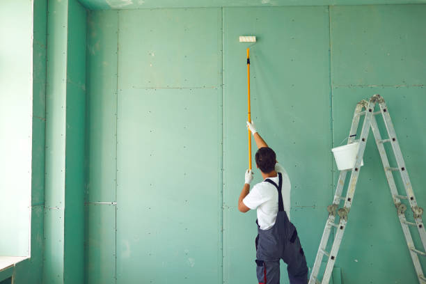 Best Water Damage & Mold Remediation  in Farmland, IN