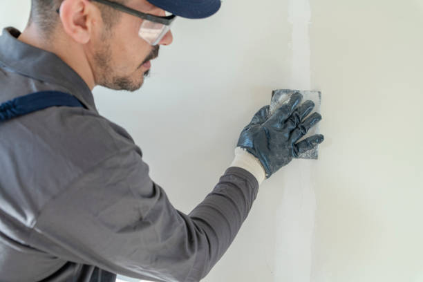 Best Black Mold Removal  in Farmland, IN