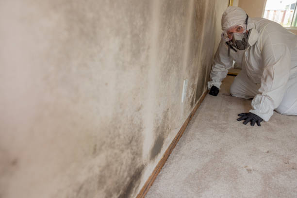 Best Mold Remediation for Vacation Homes  in Farmland, IN