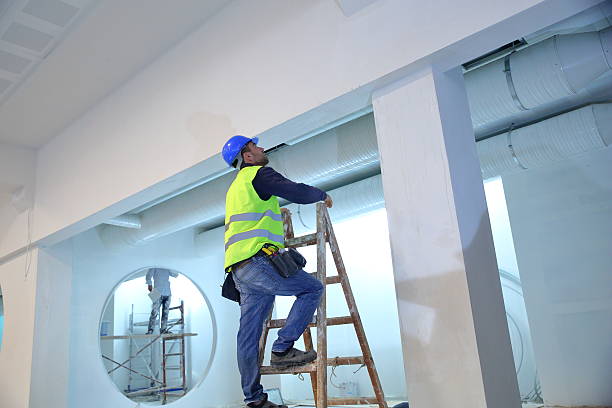 Best Asbestos and Lead Testing During Mold Inspection  in Farmland, IN